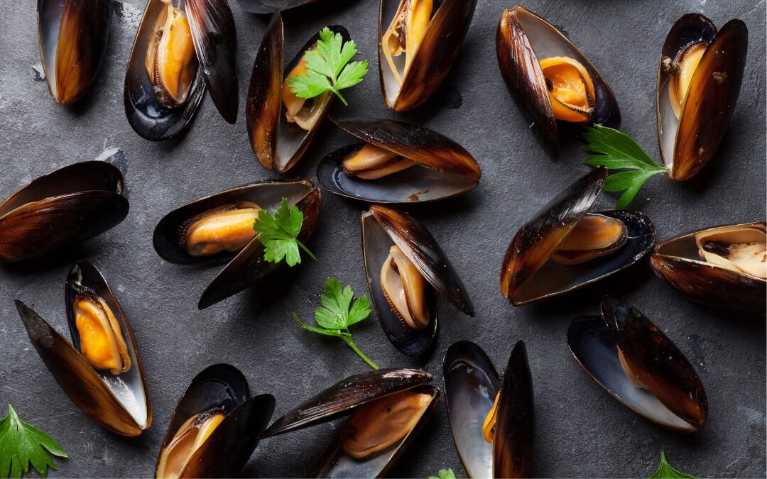 zuppa di cozze partenopea - ittica buonocore