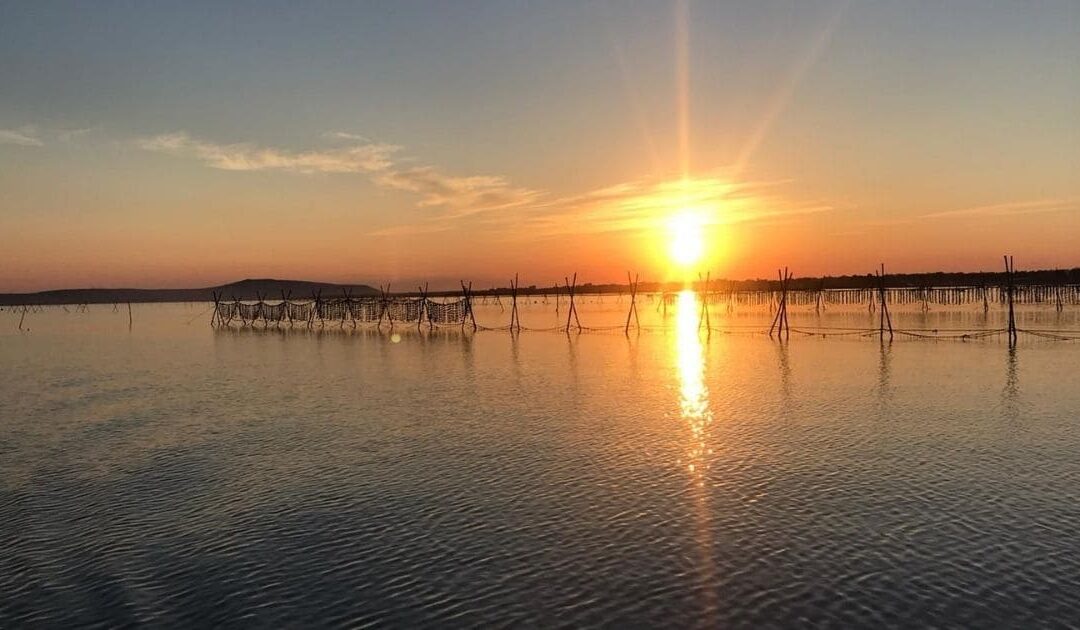 Ostriche Italiane: ecco le tre che devi assolutamente provare