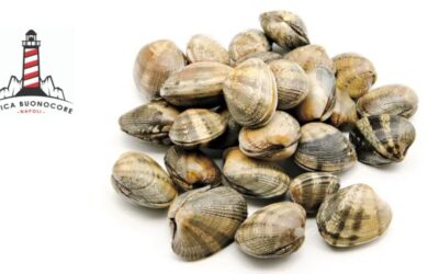 How to store clams: Ittica Buonocore’s tips