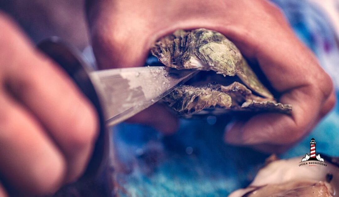 Come aprire correttamente le ostriche: i consigli di Ittica Buonocore