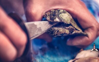 Come aprire correttamente le ostriche: i consigli di Ittica Buonocore