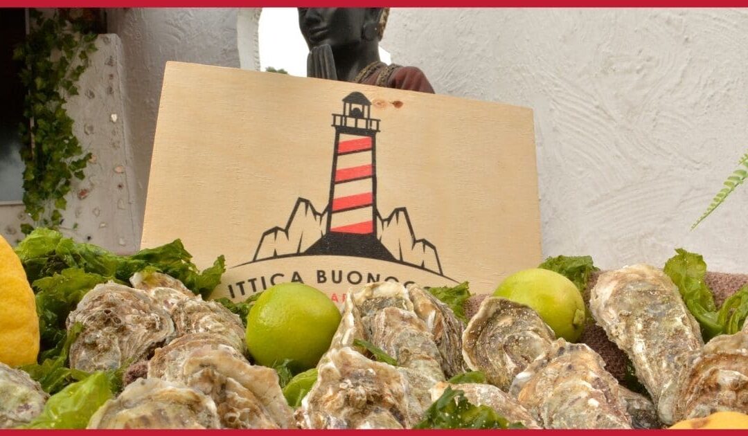 Oyster Baaar all’evento Village Baaar: scopri l’evento