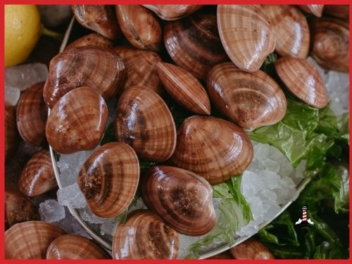 Fasolari su ghiaccio