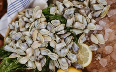 How to store wedge clams: read our guide