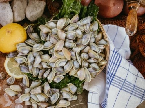 Wedge clams with a white and blue cloth