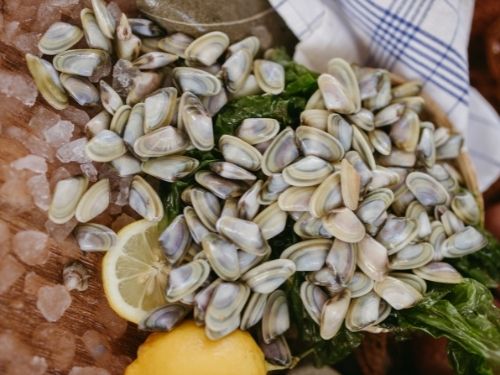 Wedge clams on a lettuce leaf with ice and lemon