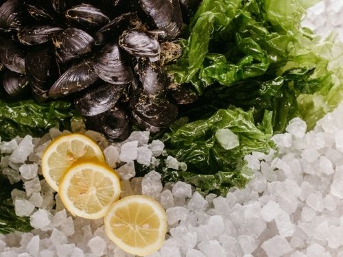 Mussels, lemon, salad and ice