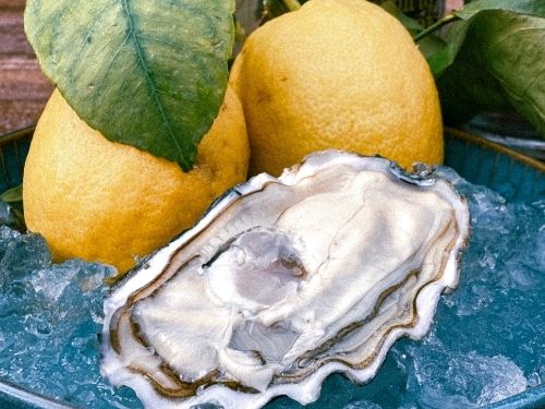 Ostrica e limoni in ghiaccio