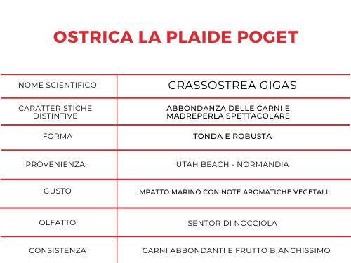 Tabella con le caratteristiche dell'ostrica La Plaida Poget