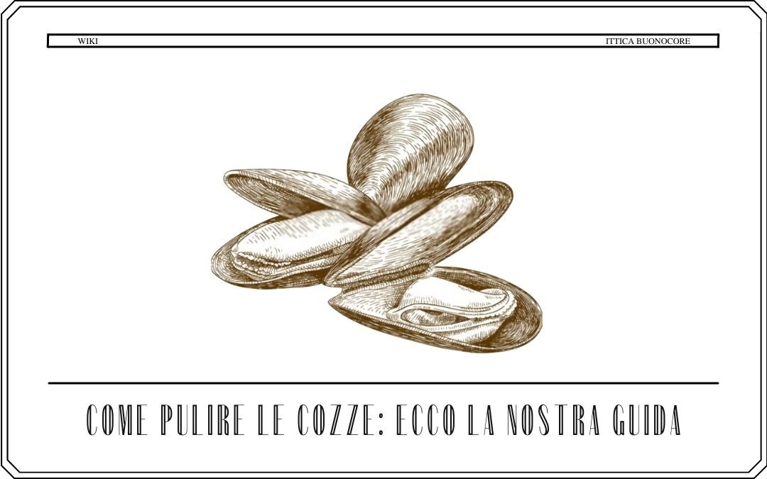 come pulire le cozze ecco la nostra guida