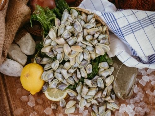 Telline con ghiaccio e limone