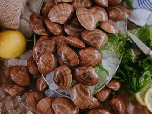 Fasolari in vassoio con ghiaccio e limone