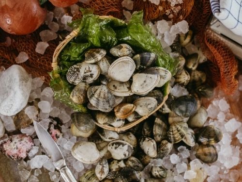 Vongole con foglia d'insalata e ghiaccio