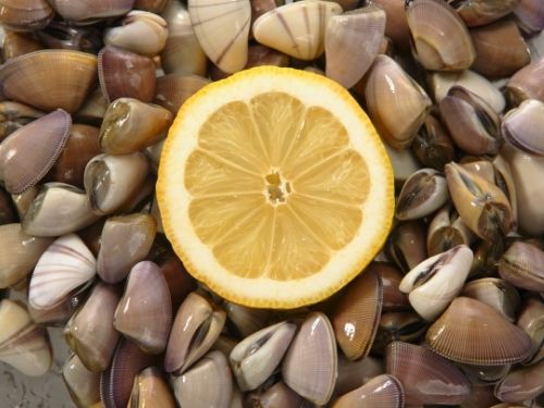 Telline con limone