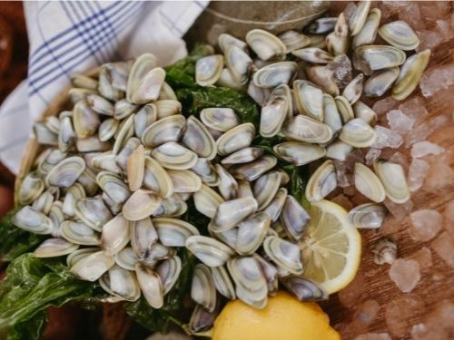 Telline con ghiaccio e limone