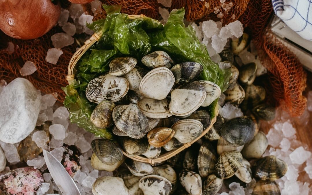 Come riconoscere le vongole veraci