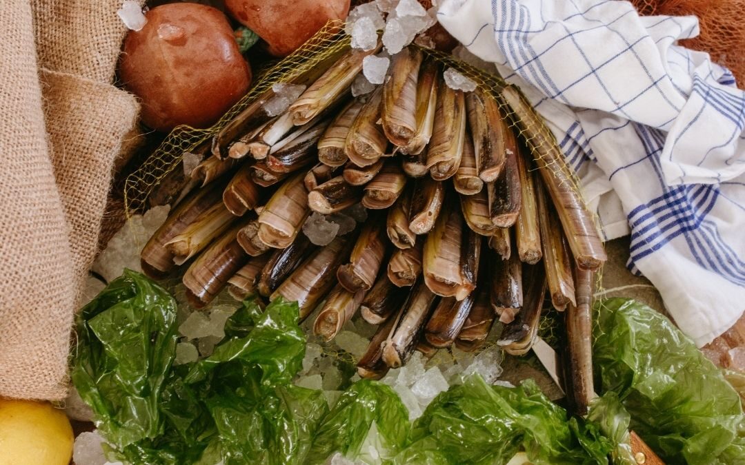 Come conservare i cannolicchi: segui i nostri consigli