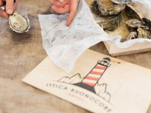 Goodcore fish oysters