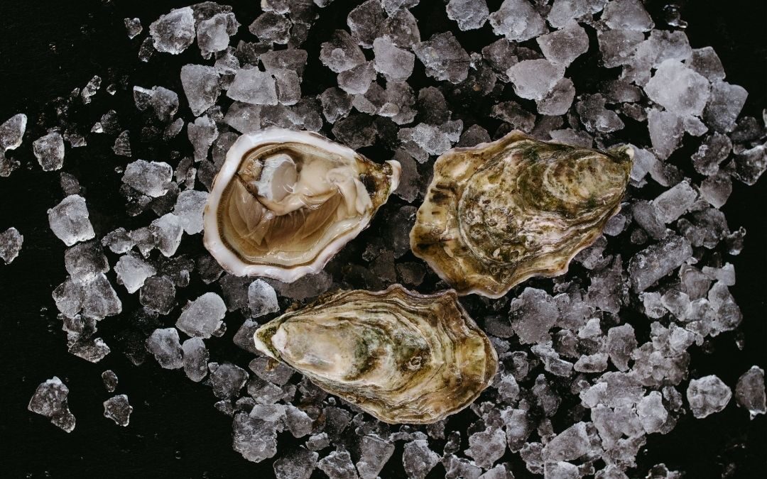 La freschezza del mare sempre a portata di mano: ecco come conservare le ostriche