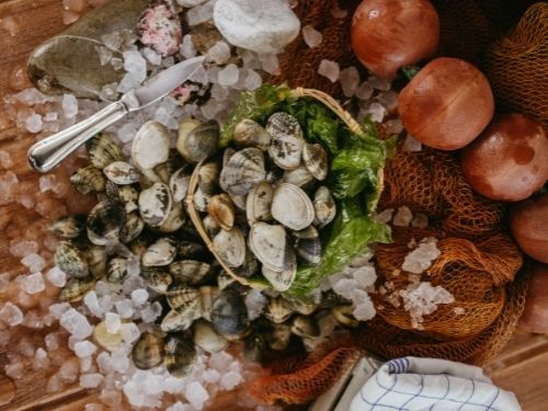 Vongole in cesta con ghiaccio