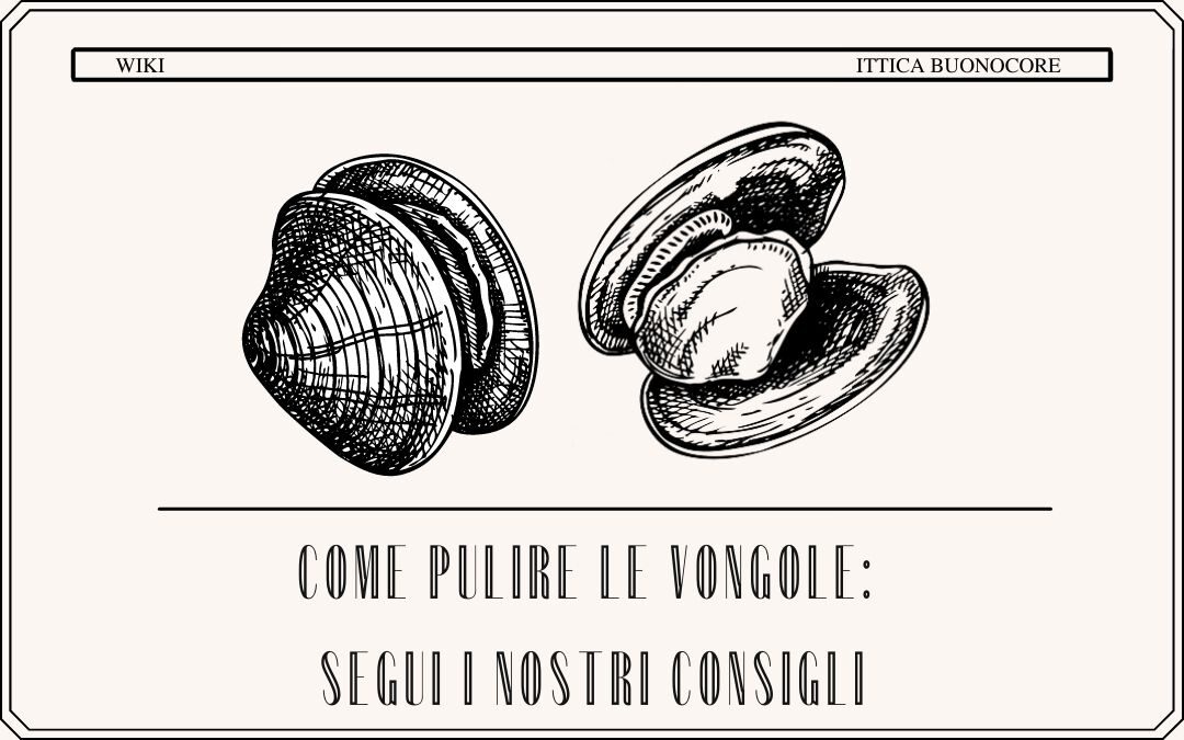 come pulire le vongole segui i nostri consigli