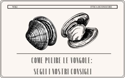 Come pulire le vongole: segui i nostri consigli