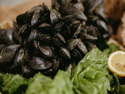 Cozze con foglia di insalata e limone
