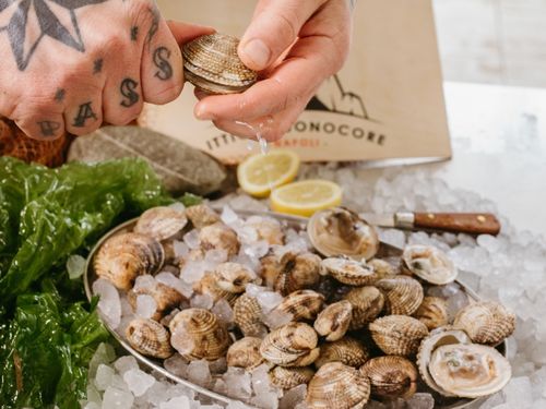 Apertura tartufi di mare