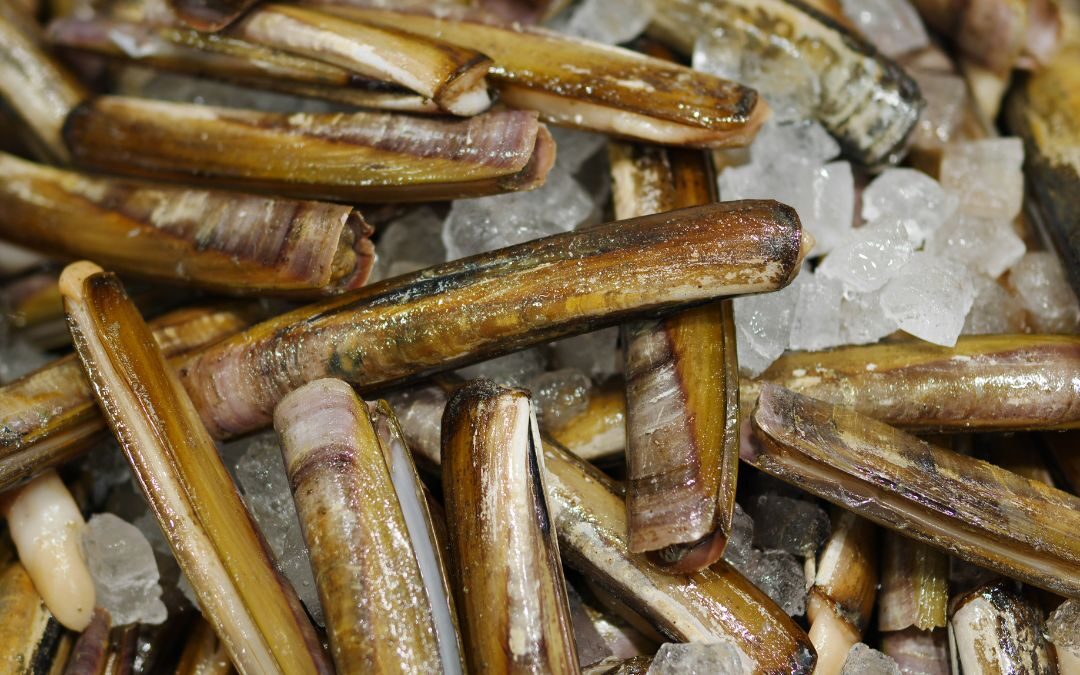 come pulire i cannolicchi segui i nostri consigli