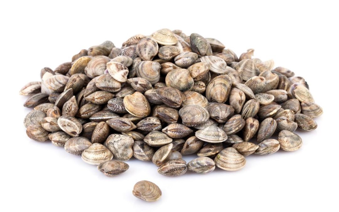 Come spurgare i Lupini Leggi i nostri consigli