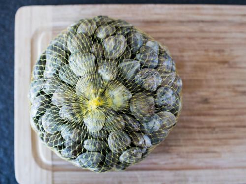 Lupini di mare in rete