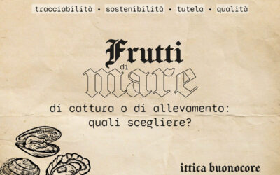 Wild caught vs farm raised seafood: the best choice