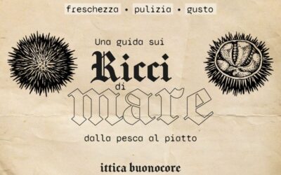 Which parts of sea urchins are edible?