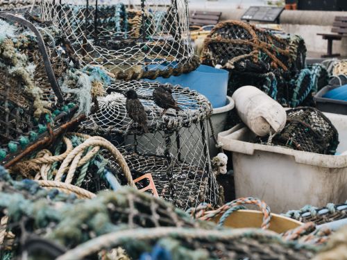 Fisherman's nets