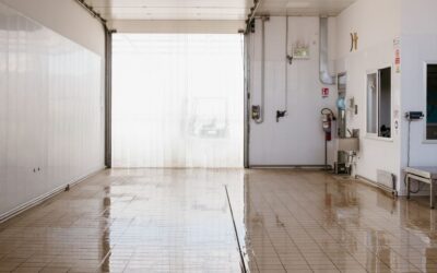 Shellfish depuration: how it works and why it’s so important