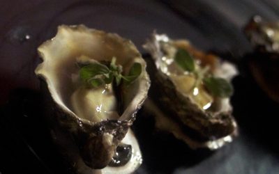 Delta sfocia in Oriente | Ittica Buonocore