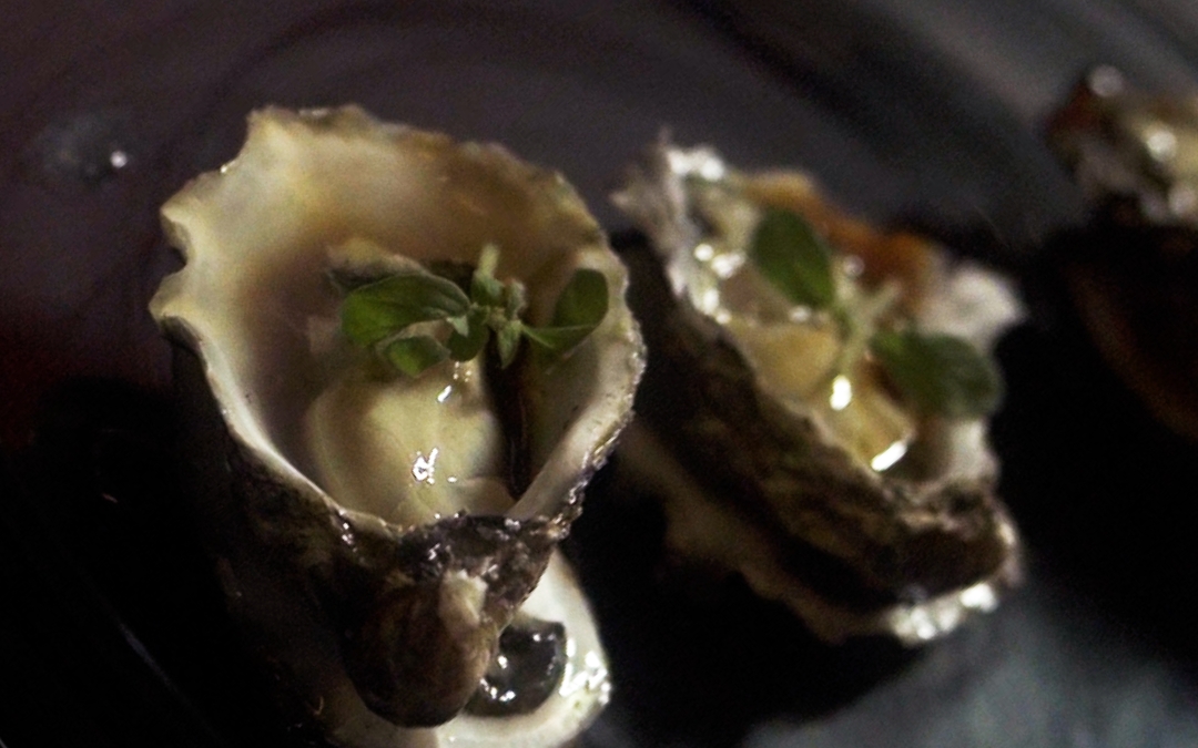 Delta sfocia in Oriente | Ittica Buonocore