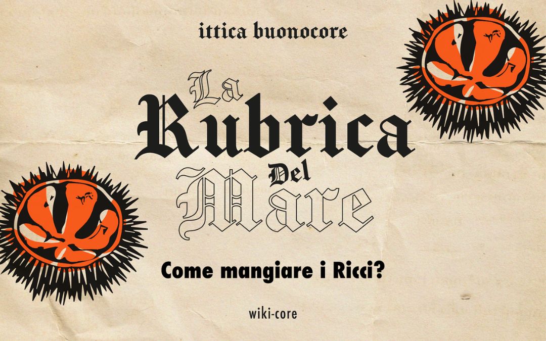 Come mangiare i ricci di mare crudi