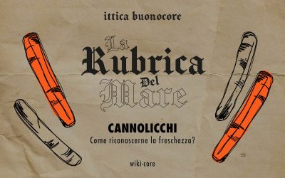 Cannolicchi: come capire se sono vivi per valutare la loro freschezza