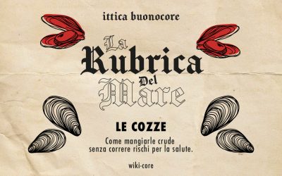 Come mangiare le cozze crude senza correre rischi per la salute