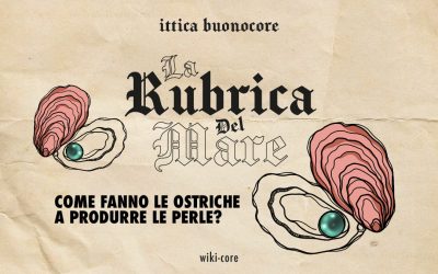 Come fanno le ostriche a produrre le perle?