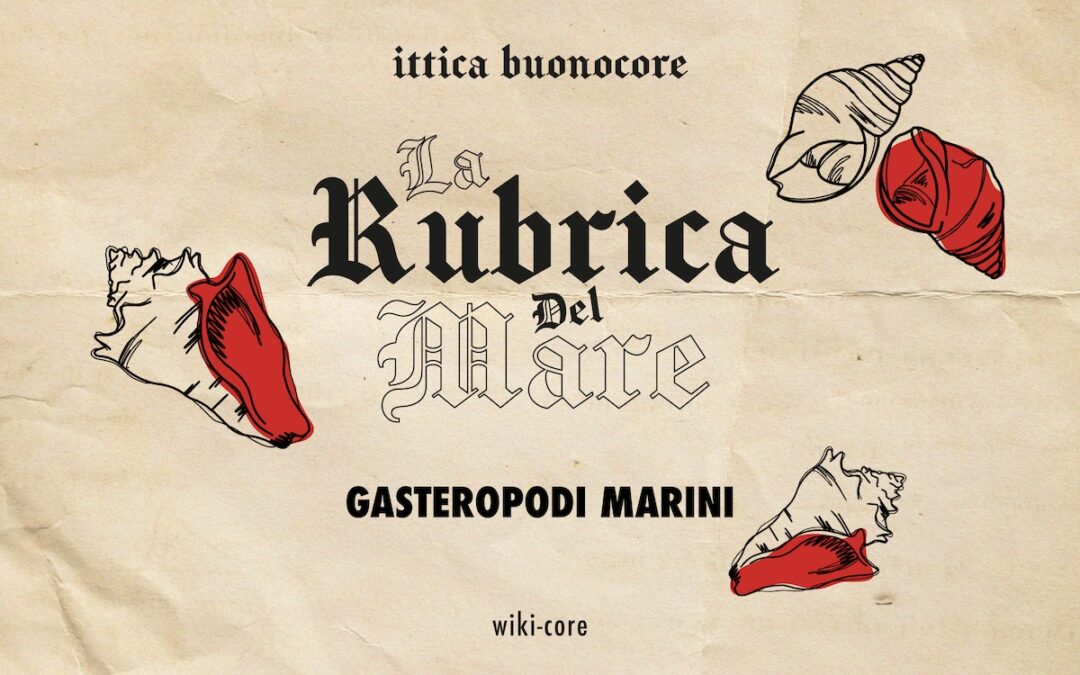 What are gastropods?