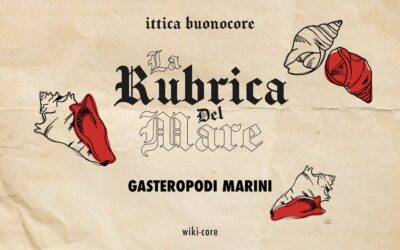 What are gastropods?