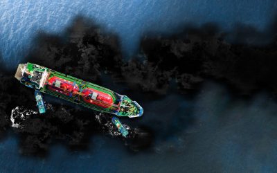 Oil pollution: its impact on the seas