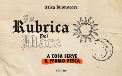 What’s the purpose of fishing ban?