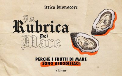 Why is seafood considered aphrodisiac?