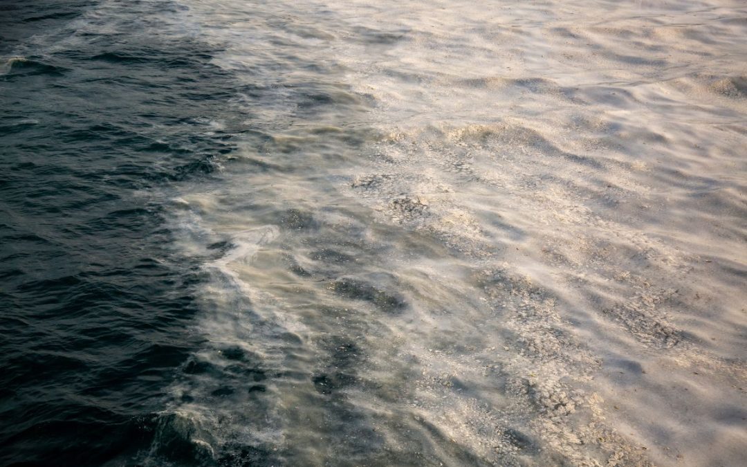 Sea mucilage: what it is and why it forms