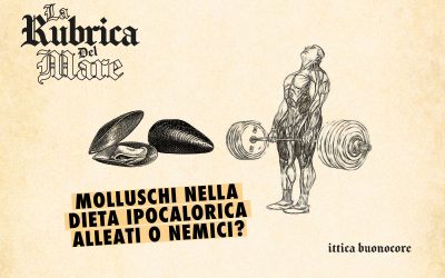 Mollusks in a low-calorie diet: friends or foes?