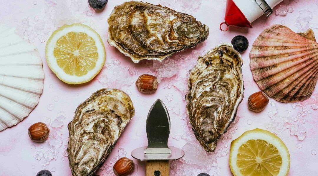 Come si formano le conchiglie di mare?