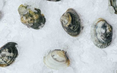 Molluschi e superstizioni di Natale: perché vongole e tartufi portano soldi?